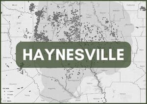 A map of the city of haynesville with many dots in it.