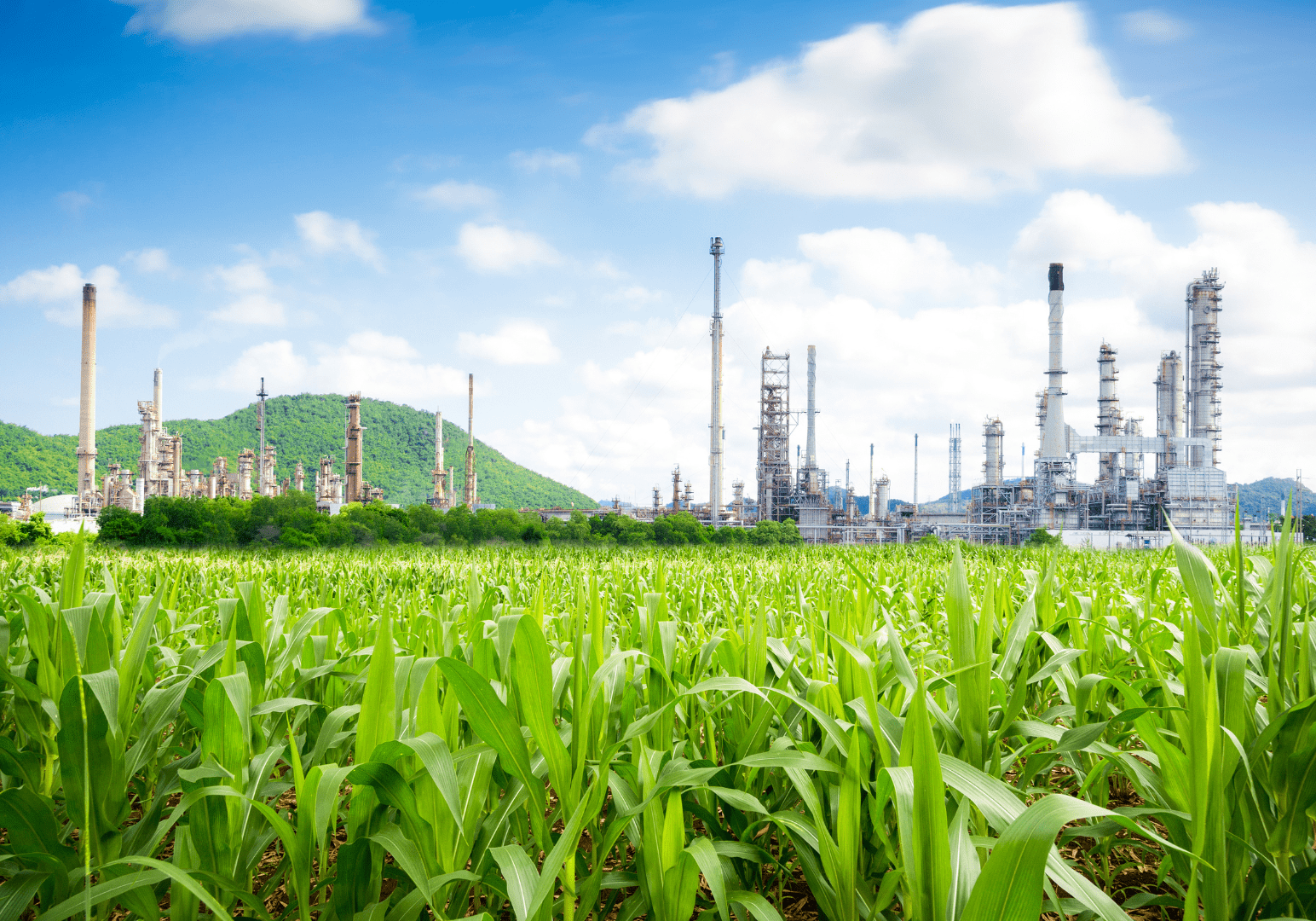 A field of green grass with an oil refinery in the background.